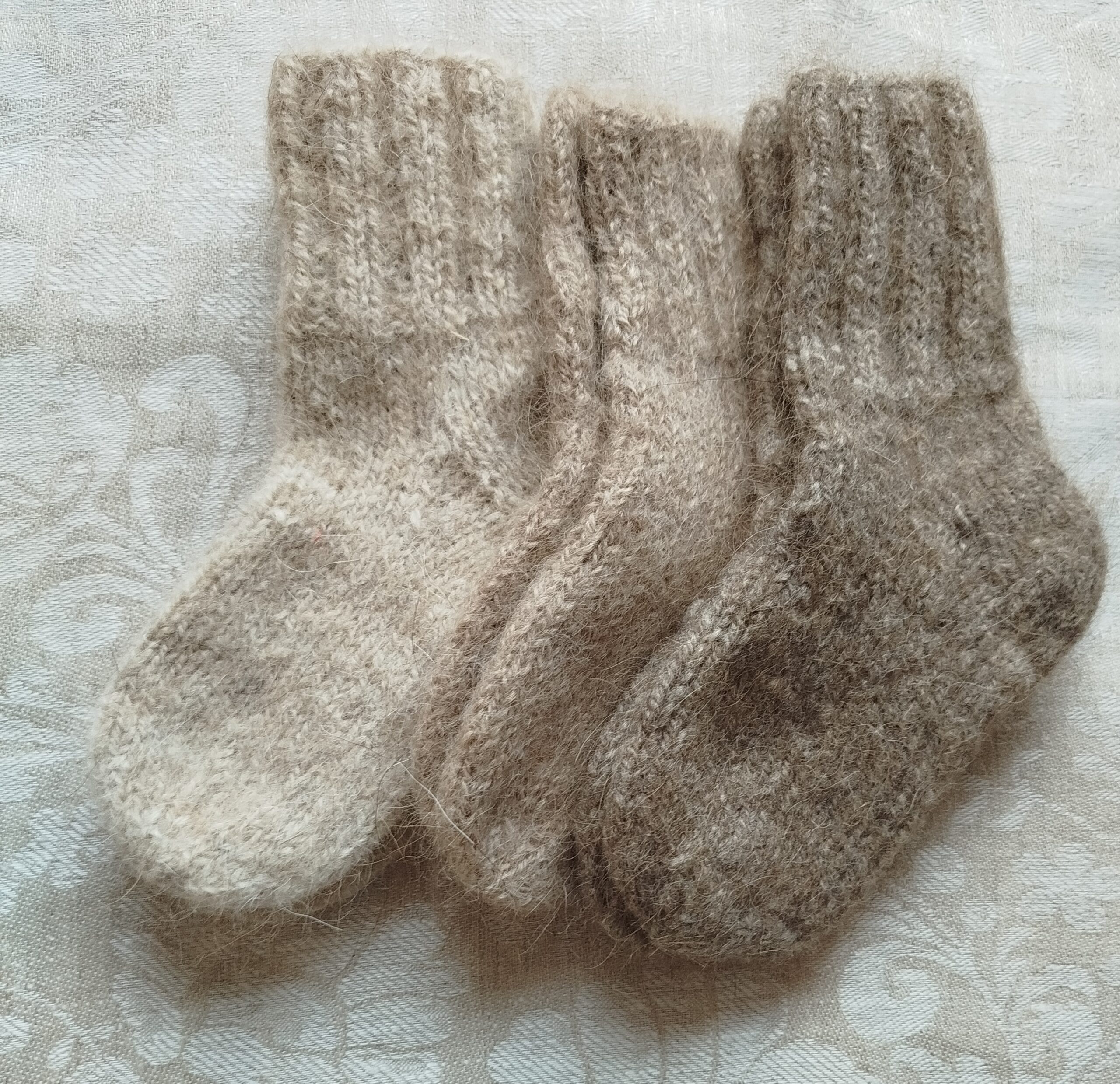 Laste sokid(värvi valik)