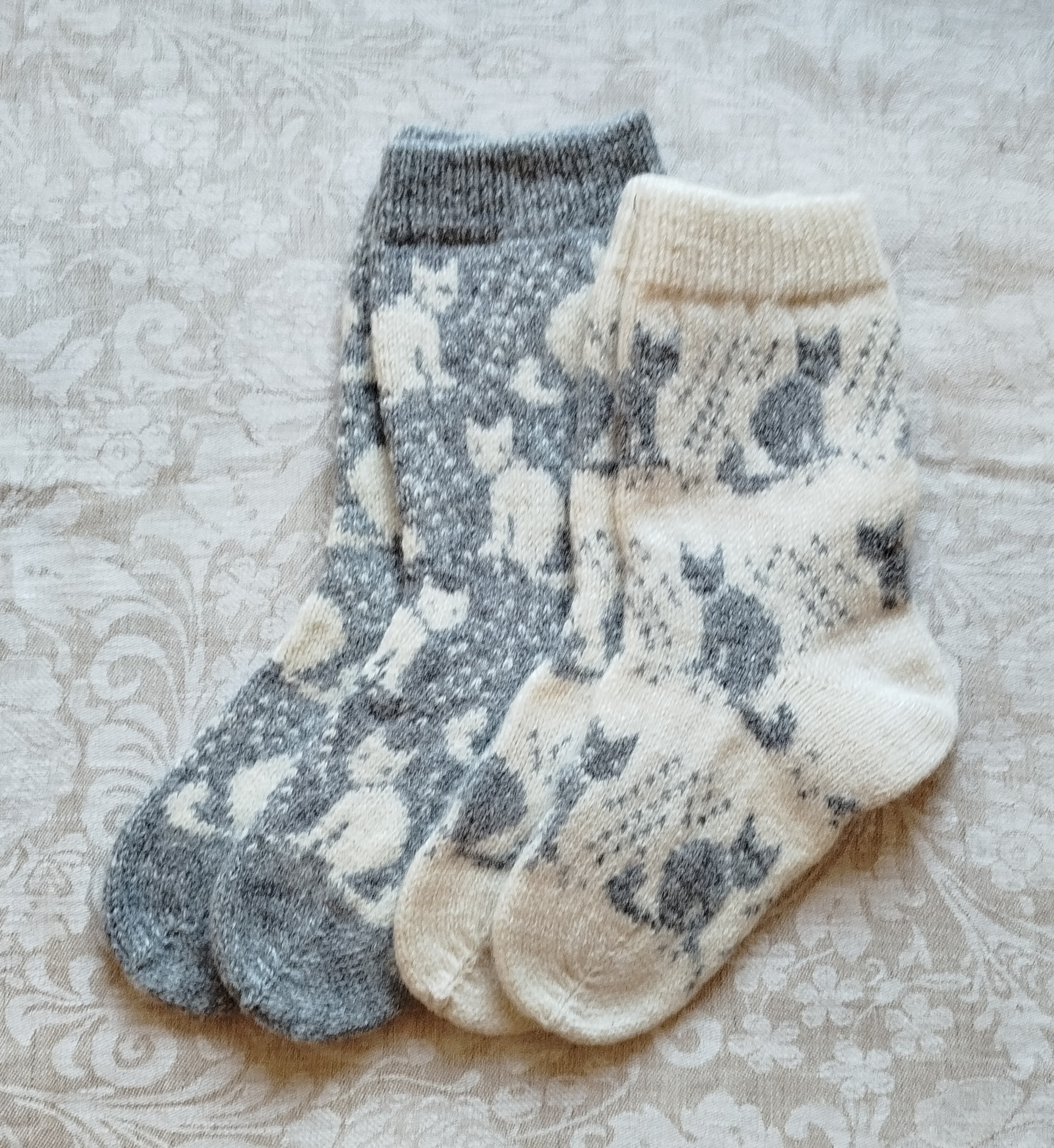 Kassidega sokid(värvi valik)