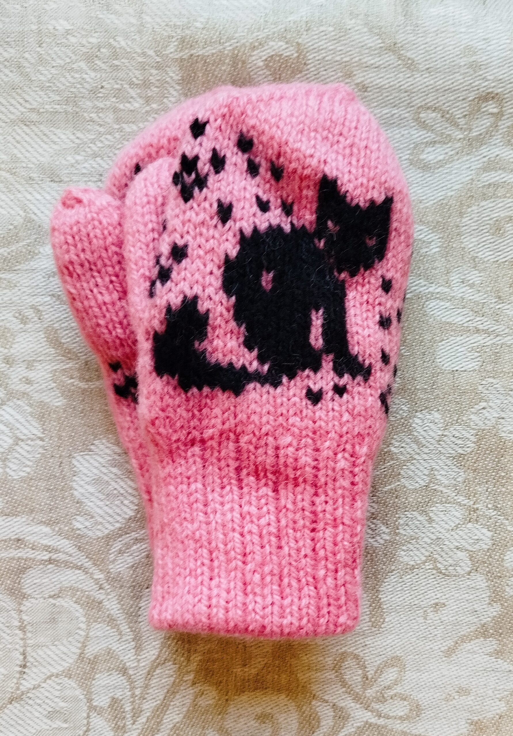 Kassiga topeltlabakud