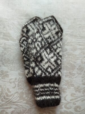 Koeravillast labakindad