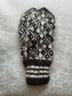 Koeravillast labakindad