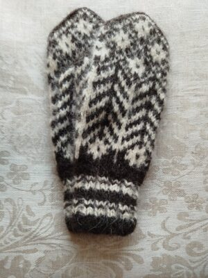 Koeravillast labakindad